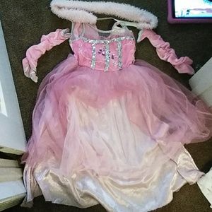 Pink Princess Custom dress w/ sach and gloves!
